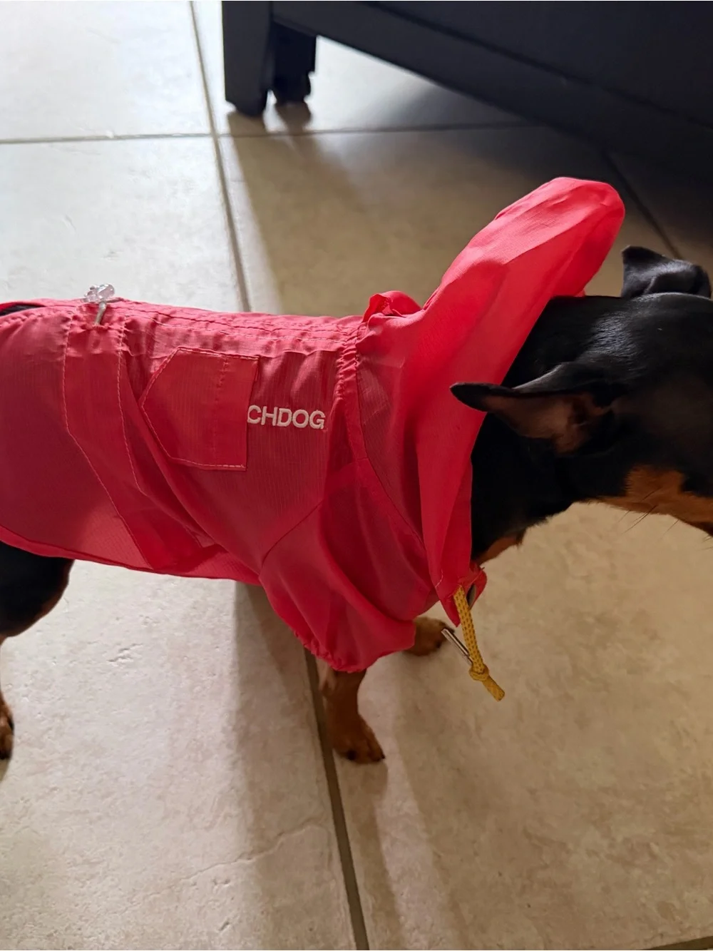 Coral Waterproof Dog Raincoat with Hood